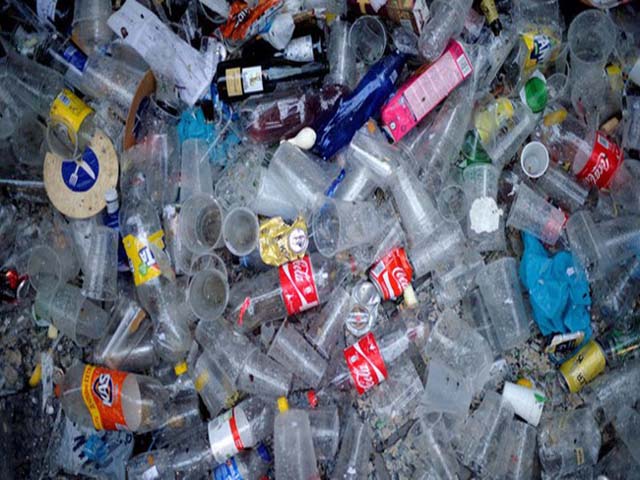 cấm nhựa sử dụng một lần vào năm 2025